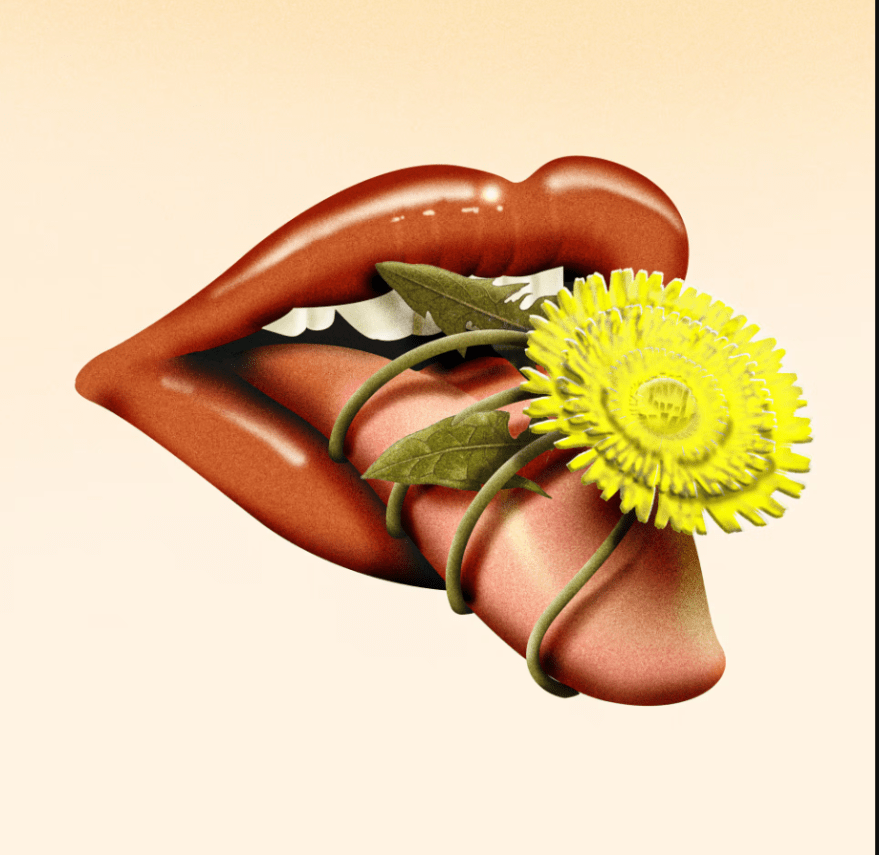 How bitter flavors can make you smarter. Image by Adam Dixon, Words, by Joti Heir